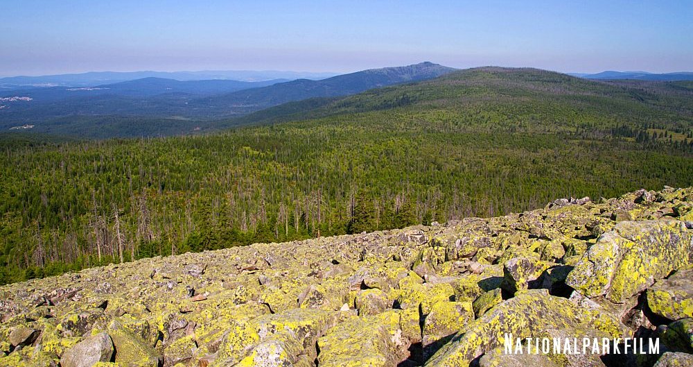 Dr. Hans Bibelriether im Interview Bayerischer Wald Nationalparkfilm
